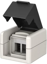 GOOBAY κυτίο για 2x Keystone modules 79169, εξωτερικού χώρου, IP44, λευκό/μαύρο