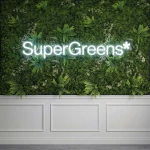 Supergreens Τεχνητή Φυλλωσιά Moss "Silva Luminis" Πράσινη 100x100 εκ.