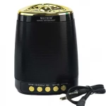 Ασύρματο Ηχείο Bluetooth Wster WS-2907 — Μαύρο