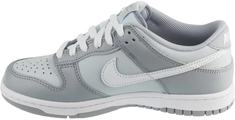 Nike Dunk Low GS DH9765-001