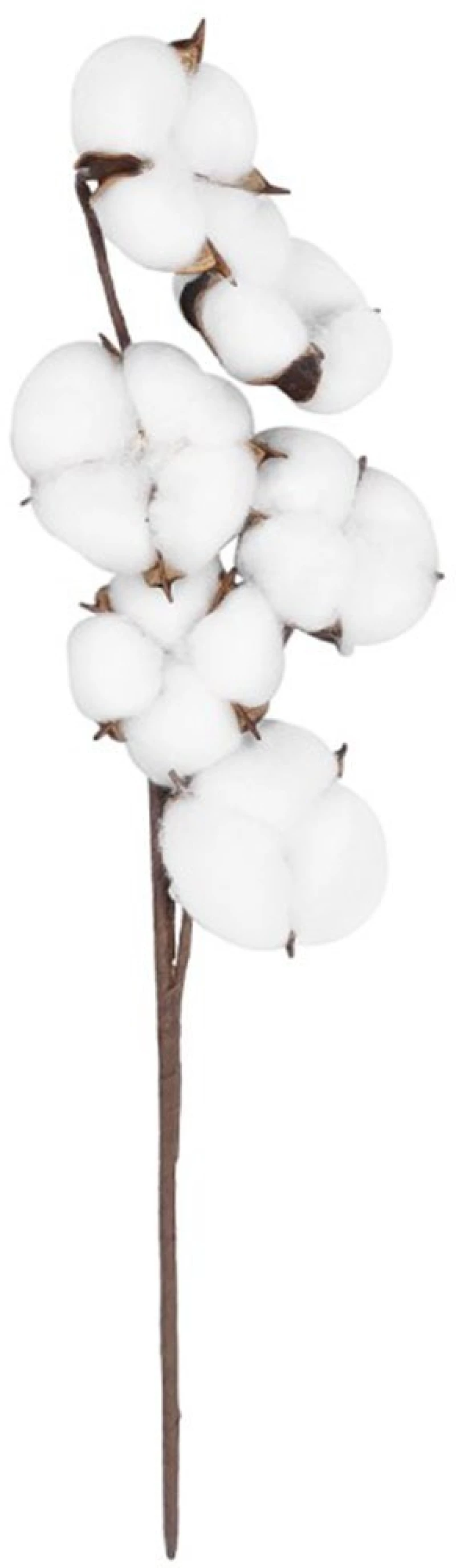 Τεχνητό Κλαδί Cotton 20558 45cm White GloboStar Πολυαιθυλένιο,Ύφασμα