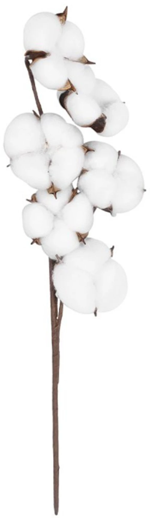 Τεχνητό Κλαδί Cotton 20558 45cm White GloboStar Πολυαιθυλένιο,Ύφασμα