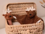 Baby Gift Box  Forest