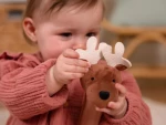 Baby Gift Box  Forest