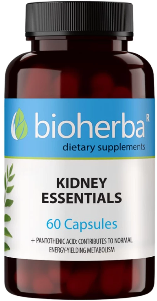 Bioherba Kidney Essentials [60 Κάψουλες]