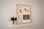 Petit Artichaut Birth frame PA2601