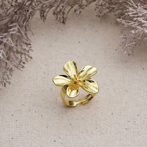 Δαχτυλίδι 844LYR1501 Gold Heliophilia Silver
