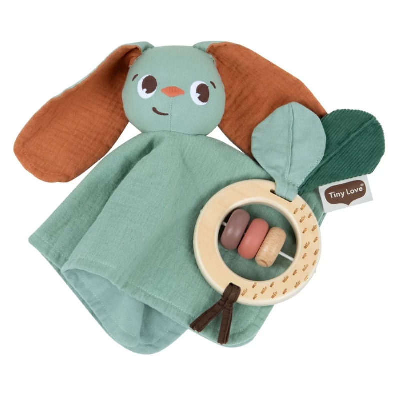 Παιχνίδι Tiny Love Σετ Δώρου Πανάκι Παιχνίδι Garden Of Adventures BR78592