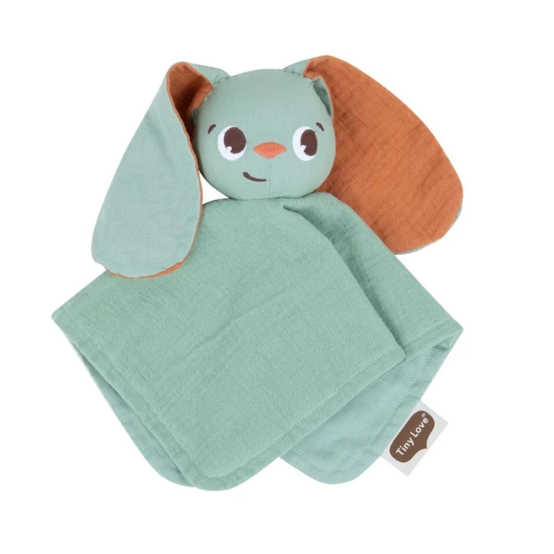 Παιχνίδι Tiny Love Σετ Δώρου Πανάκι Παιχνίδι Garden Of Adventures BR78592