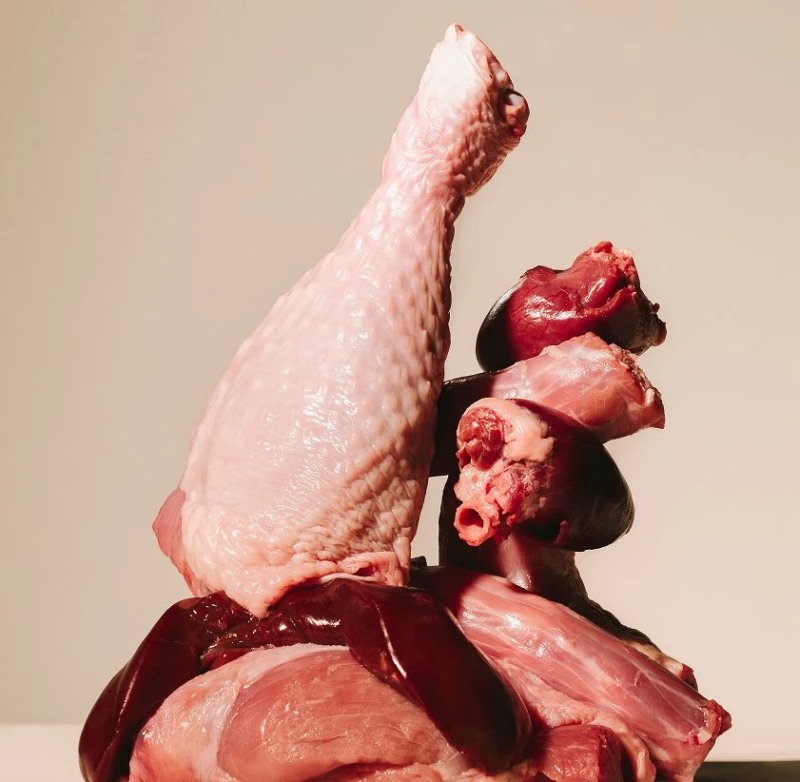 Carnilove Dog Pouch Pate Turkey & Quail with Carrot 300gr