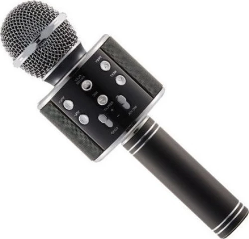 WSTER WS-858