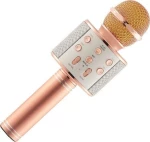 WSTER WS-858