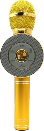 WSTER WS-668