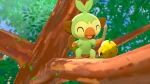 Pokemon Sword Switch