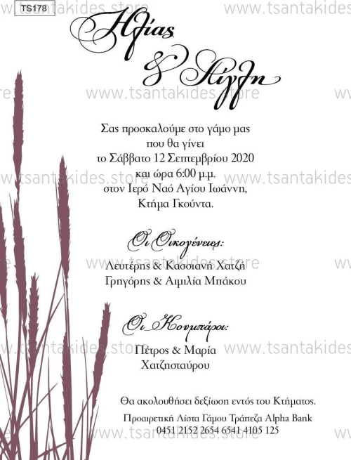 Προσκλητήριο γάμου TS178