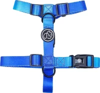 Σαμαράκι Everking Neon 393119 Large 2,5x55-80cm
